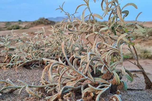 Northern Balochistan